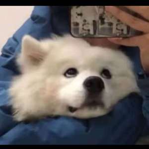 亚洲精品福利入口在线
